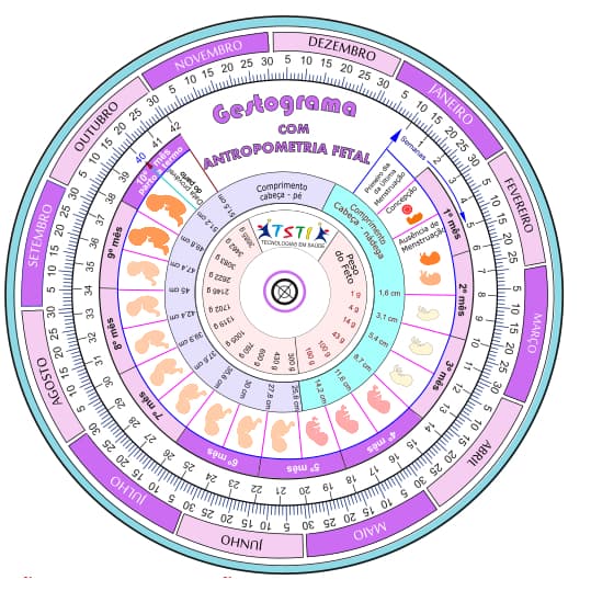Gestograma com Antropometrial Fetal - TSAT - Tecnologias da Saúde