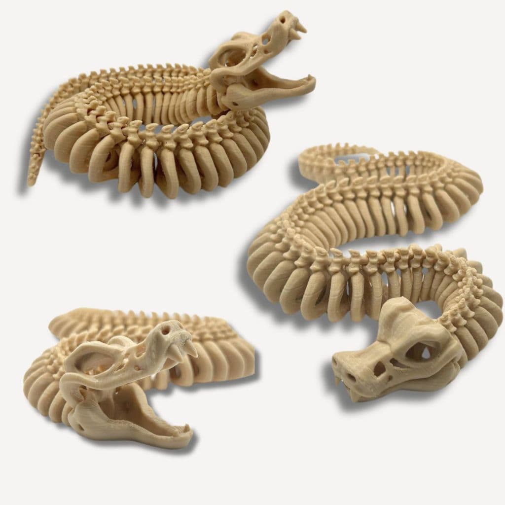 Cobra Esqueleto Articulada Brinquedo Réplica anatômica Naja Impressão 3D Articulações Móveis