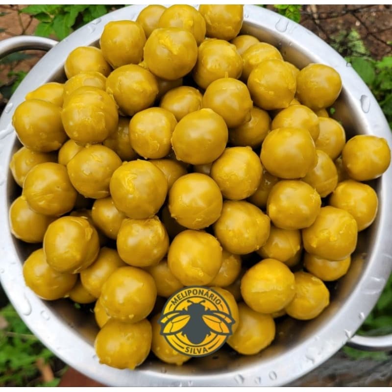 Bombom de pólen 150g,Alimentação para Jatai,Mandaçaia,Bugia,borá,Tubuna