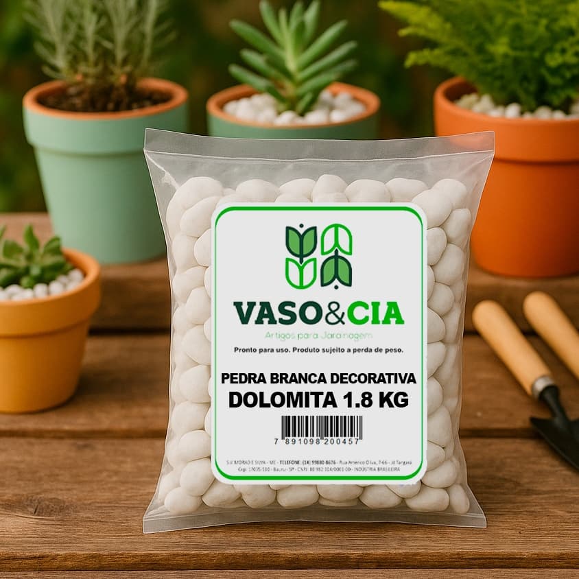 Pedra Dolomita Branca Seixo Decorativa para Vasos e Jardins Ornamentais - Pacote de 1,8 kg