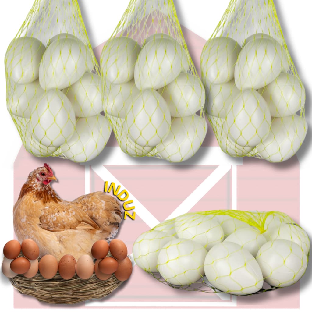 Ovo Caipira Falso Brincadeira Galinheiro de Plastico Indez Galinha Enfeite