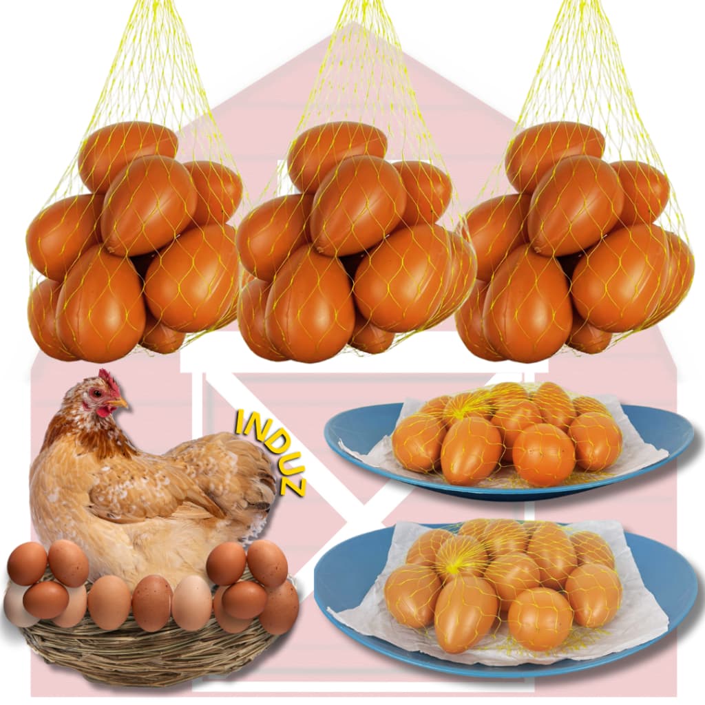 Ovo Caipira Falso Brincadeira Galinheiro de Plastico Indez Galinha Enfeite