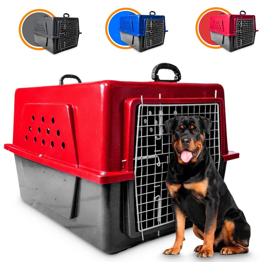 Caixa de Transporte Cachorro N6 Tamanho Grande Para Viagem Padrão IATA Avião