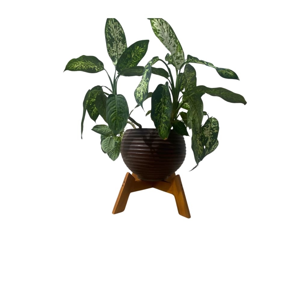 Suporte Para Vaso De Plantas Fixo Reforçado Pequeno / Médio ou Grande