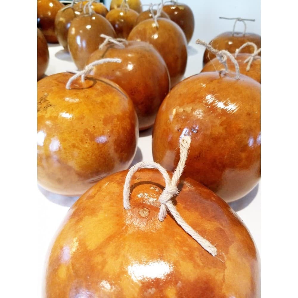 cabaça de berimbau, porongo tamanho Médio ou viola 1 und