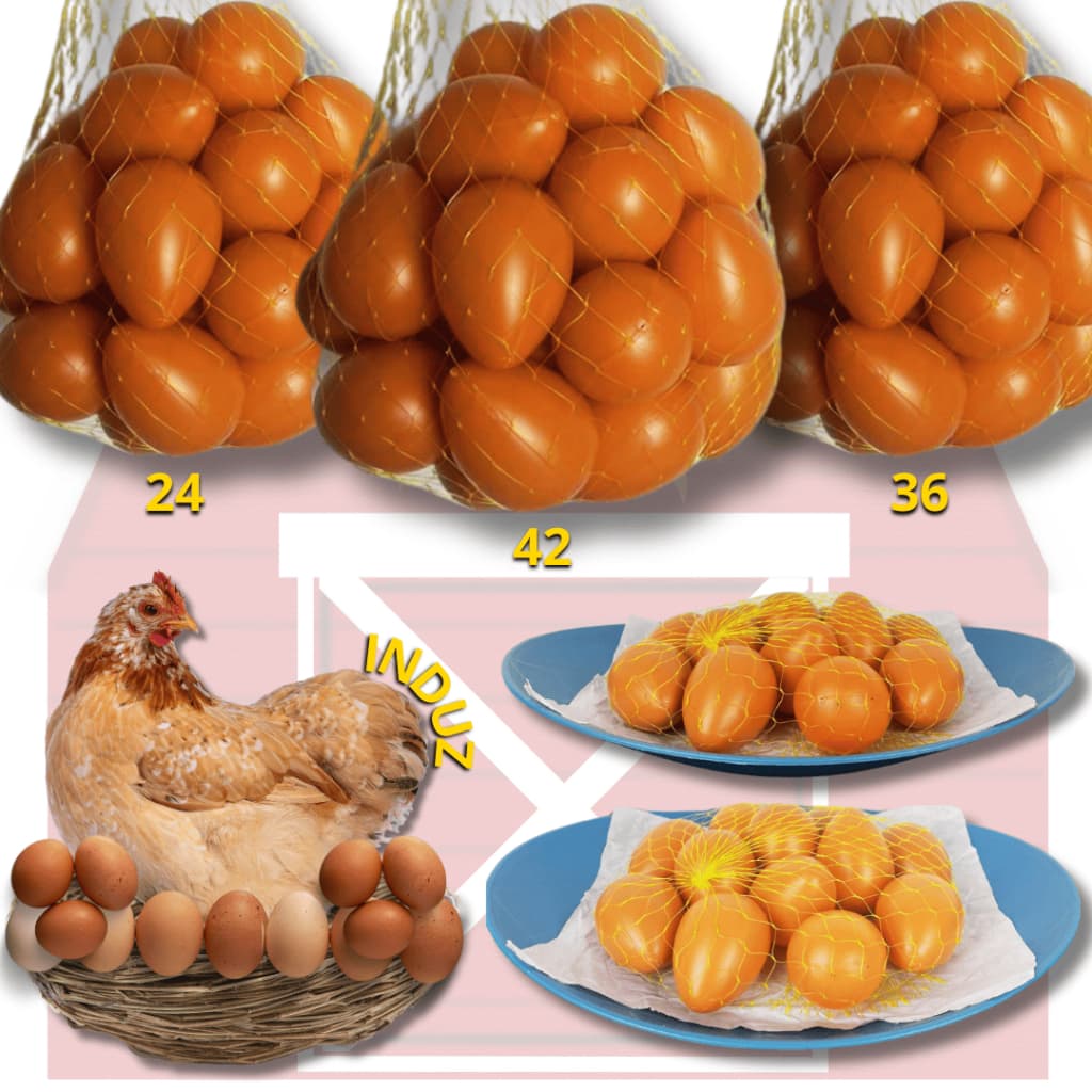 Ovo Caipira Falso Brincadeira Galinheiro de Plastico Indez Galinha Enfeite