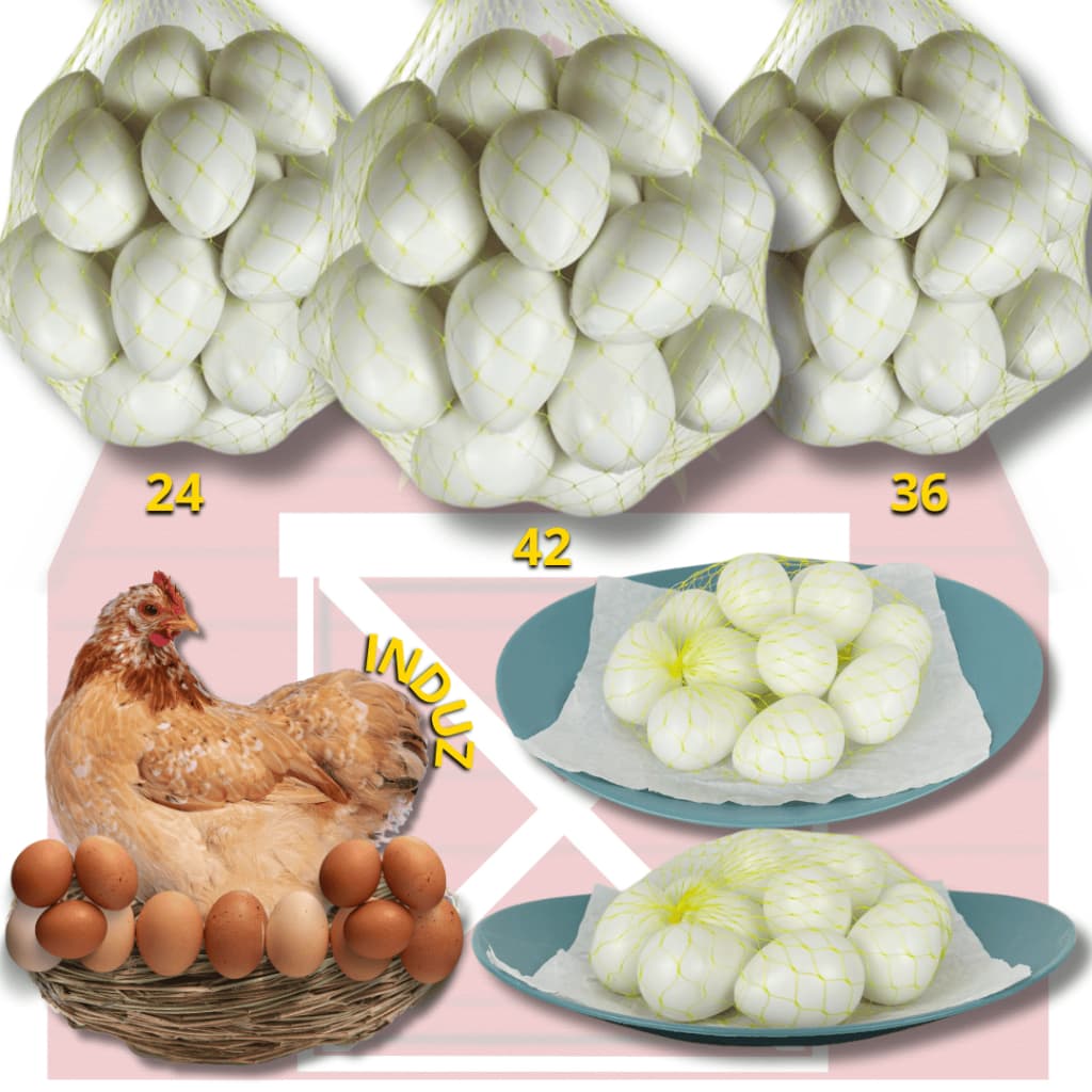 Ovo Caipira Branco Falso Brincadeira Galinheiro de Plastico Indez Galinha Enfeite