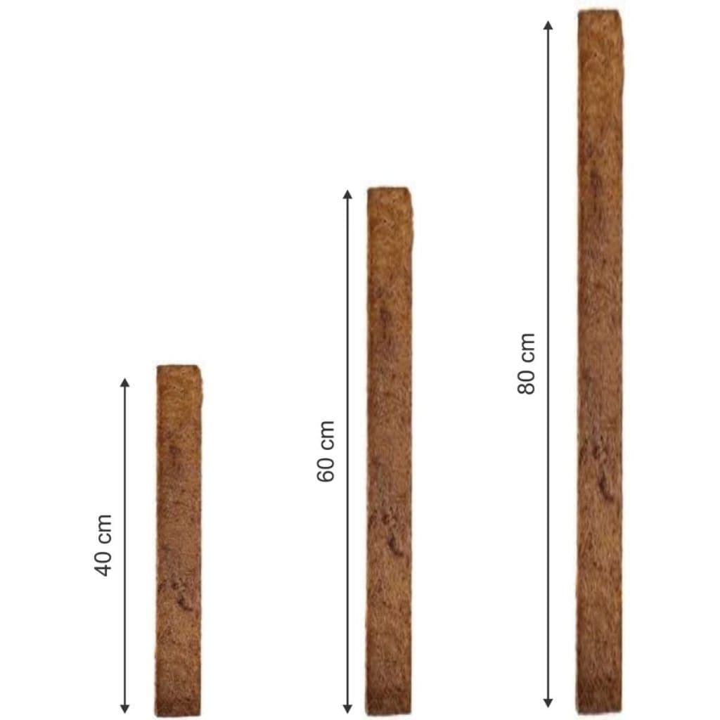 Estaca Fibra De Coco Tutor para Plantas Trepadeira Orquideas