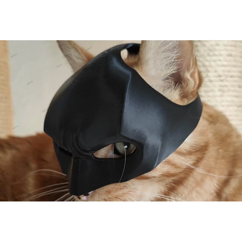 Batgato - Bat-cat Máscara divertida para Animais Cavaleiro das Trevas para Gatos