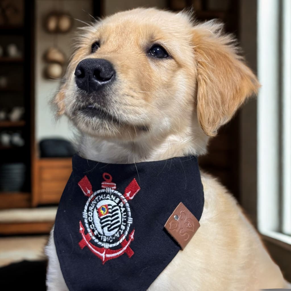 Bandana pet time futebol – vários escudos bordados – cães e gatos – P M G GG e XG