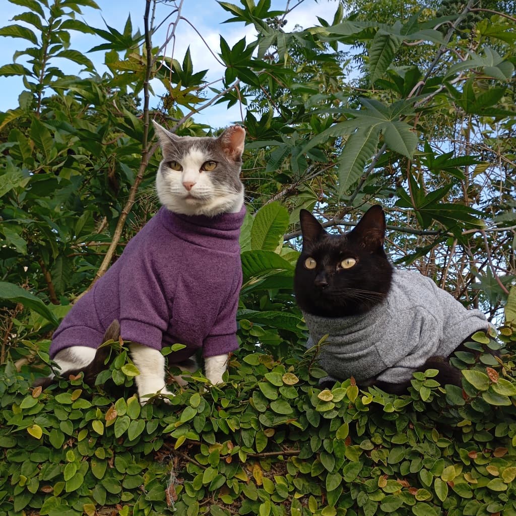 Roupa pet inverno de lanzinha para cachorro e gato