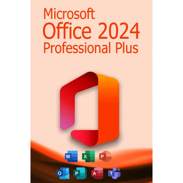 office 2024 dvd