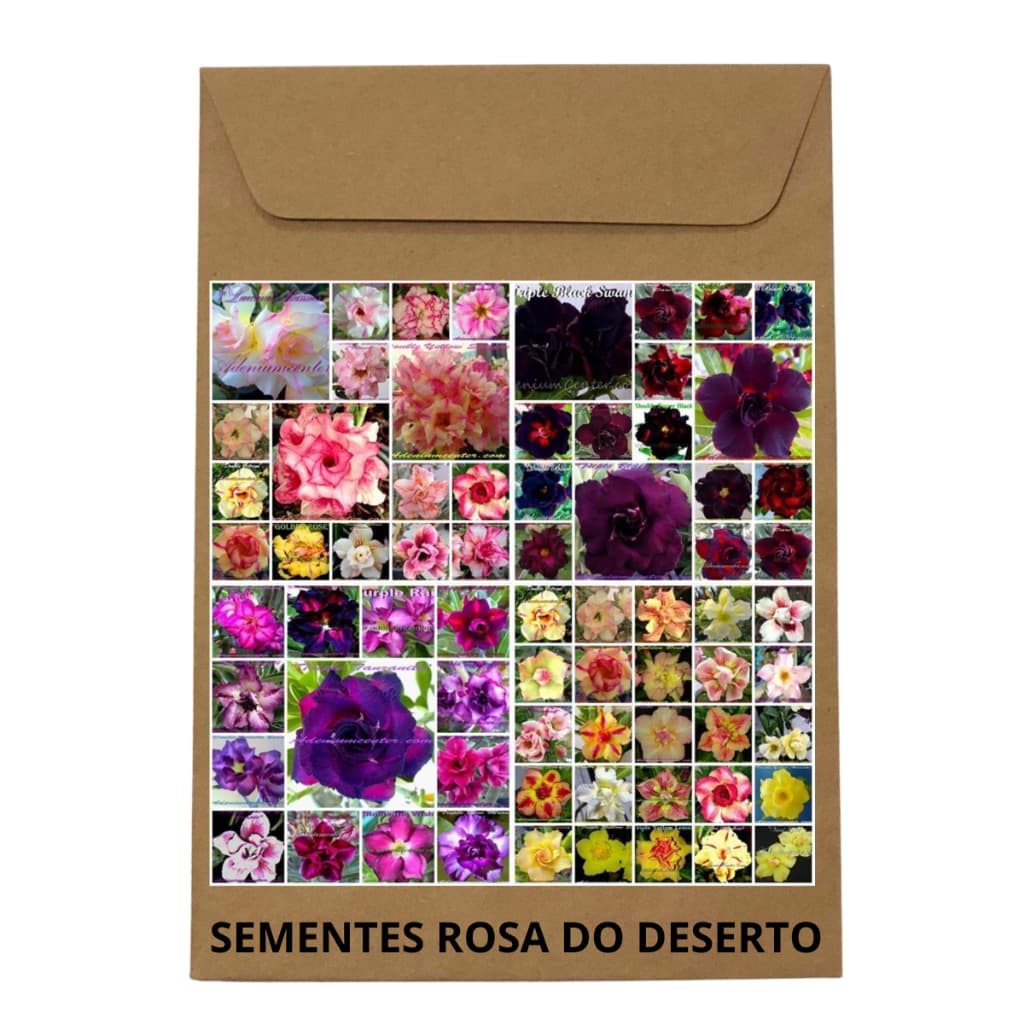 20 Sementes de Rosa do Deserto MIX DE CORES