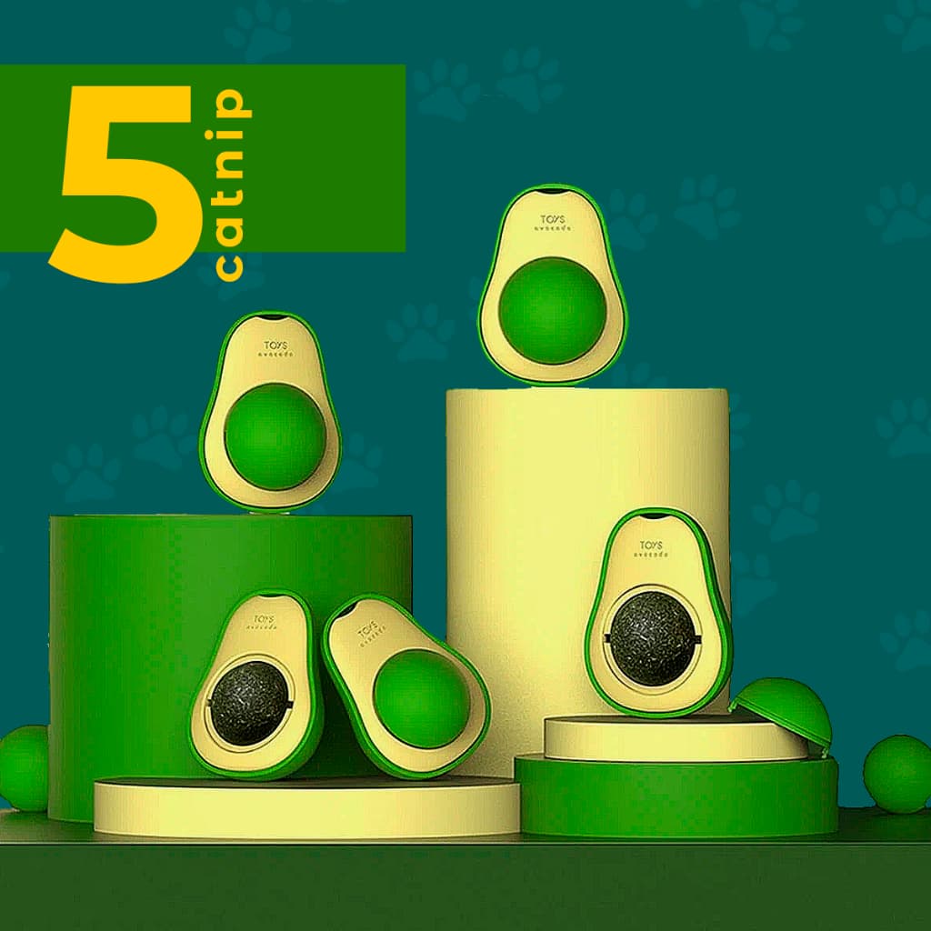 Kit 5 Abacate Brinquedo Interativo Gatos Catnip Erva Natural