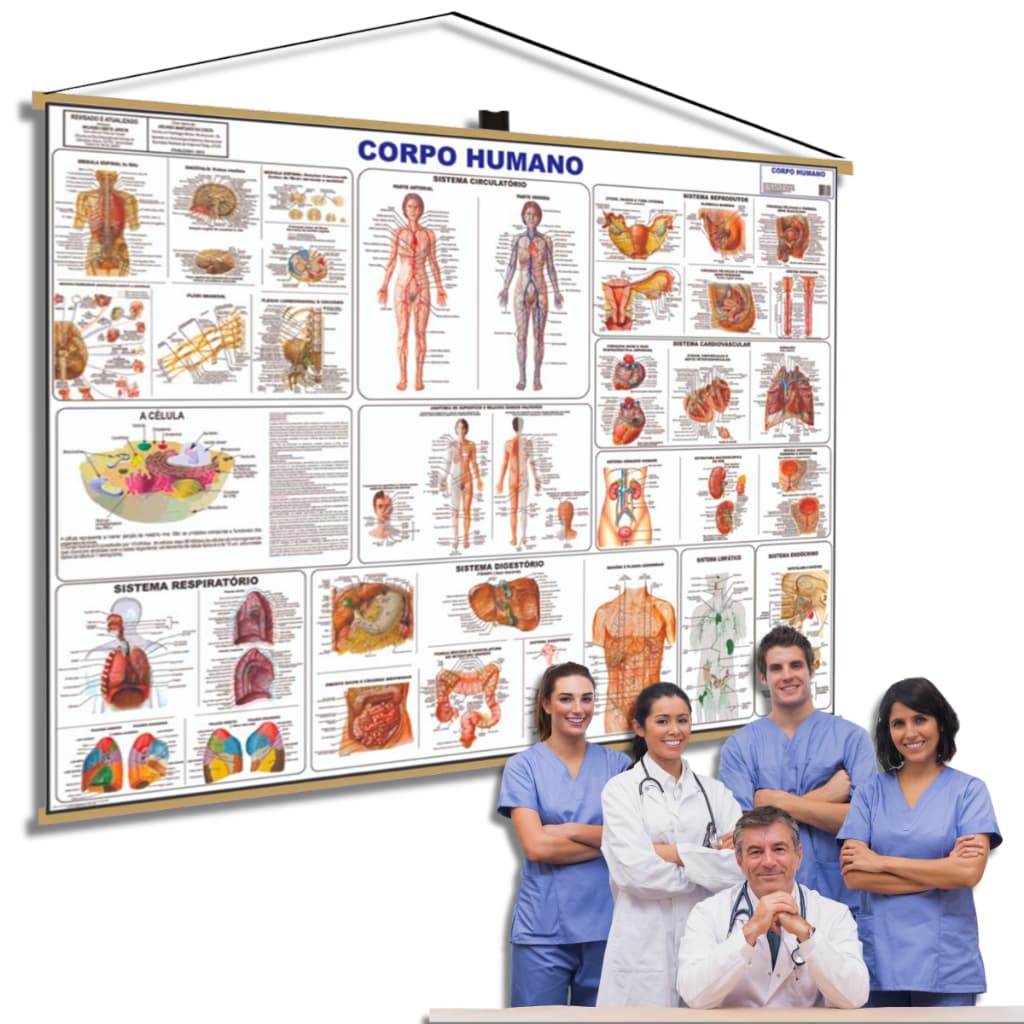 Banner Anatomia Corpo Humano Medicina Estudo Banner Moldura Pendurar