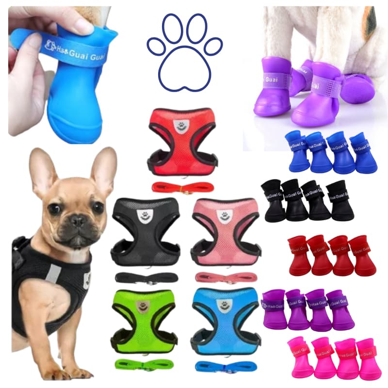 Kit Botinha Silicone Pet Coleira Peitoral Guia Confortável Cachorro Gato Passeio