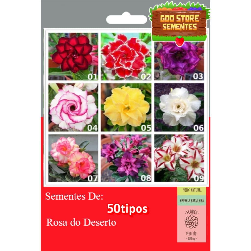 KIT 50 Tipos De Rosa do Deserto Sementes