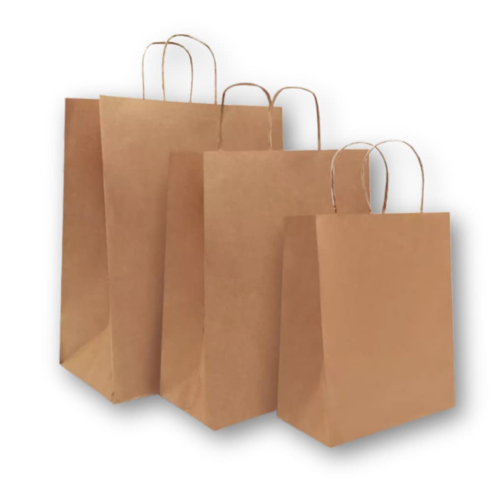 Sacola De Papel Kraft Natural Lisa C/ 50 Unidades