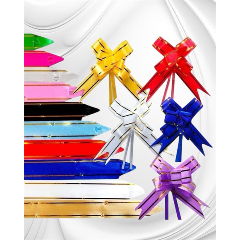 100 laço facil 12x24 cores variadas