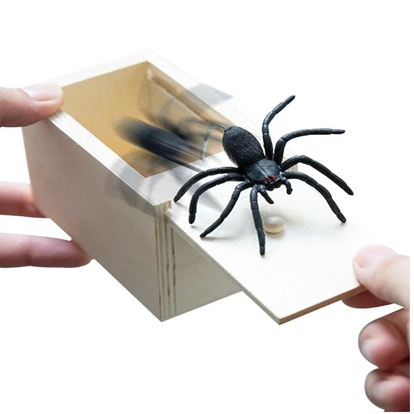 Pegadinha Aranha na Caixa  Brincadeira Divertida