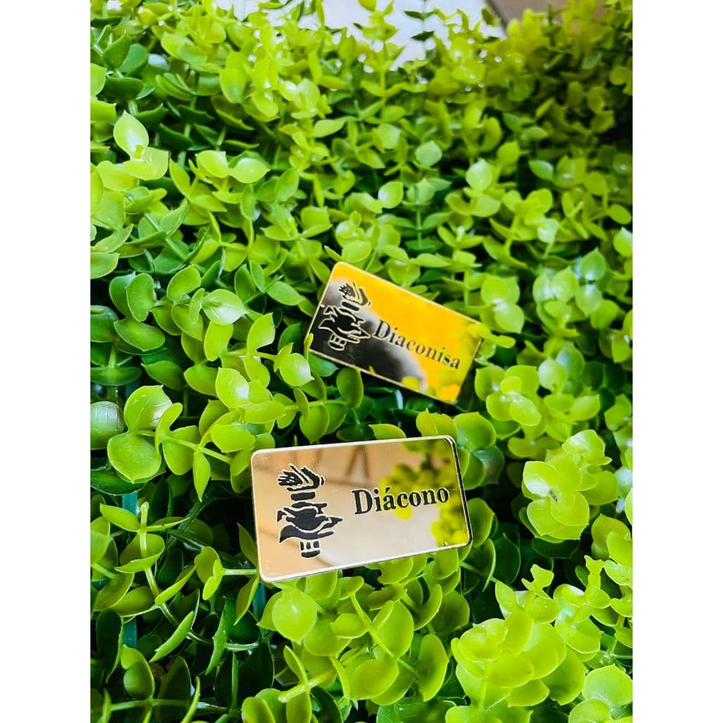 Botton brocha crachá personalizado acrilico espelhado