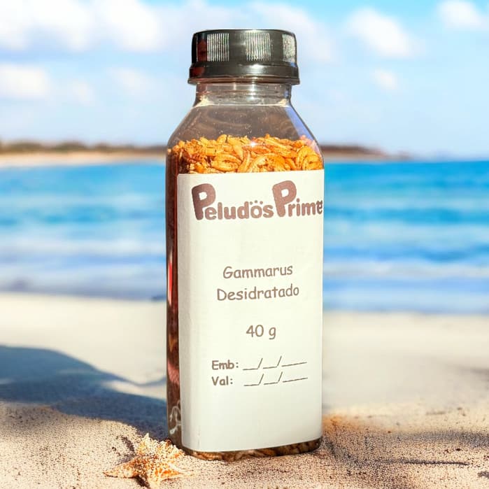 Camarão Desidratado Gammarus Premium 40g 120g Alimento Natural Rico Proteína para Peixes  Tartarugas