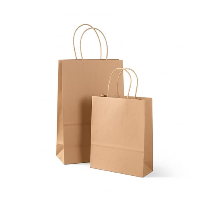 10 Sacolas Papel Kraft de Tamanhos Variados