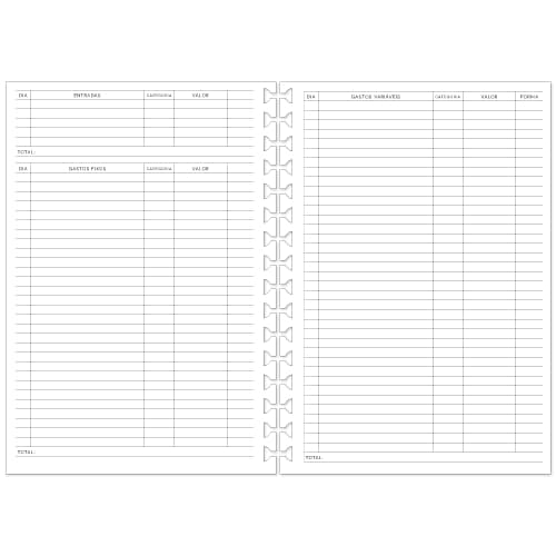 Refil PLANNER FINANCEIRO 12 Meses Reposicionável P/ Caderno AD 90g/m² Tamanho A5