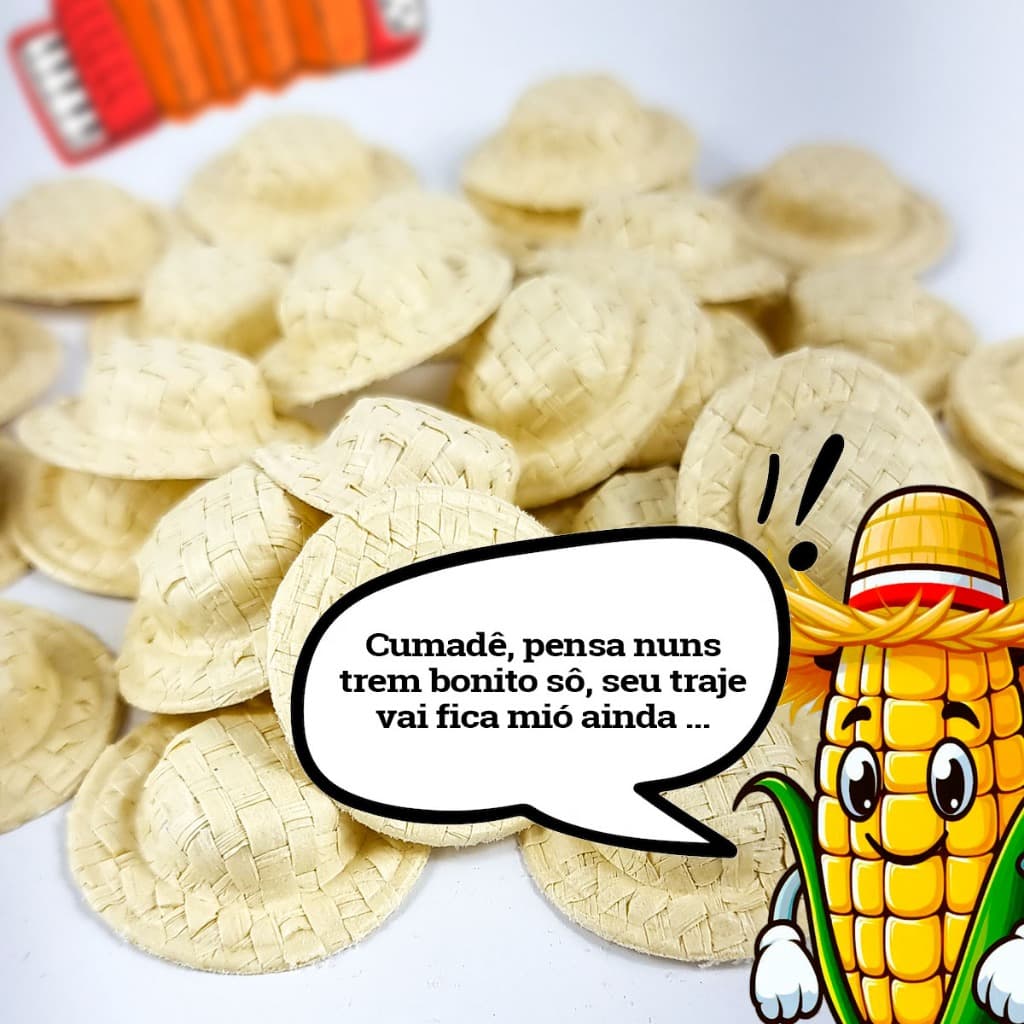 20 Mini Chapéu de palha festa Junina lembrancinha Saõ João Chapeuzinho de palha 3 tamanhos