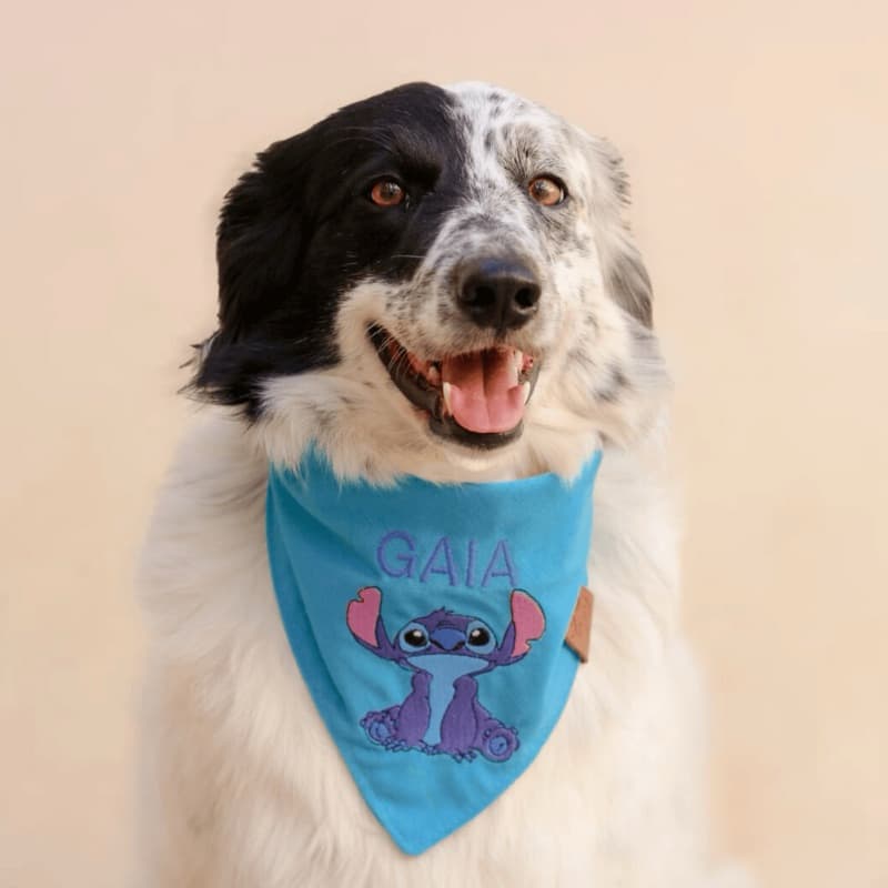 Bandana pet com bordado Stitch ou Angel - com nome bordado - Vários tamanhos P, M, U, G, GG, XG