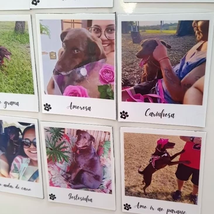 Mini Fotos Imãs de geladeira.Kit com 5, 10,15 e 20.