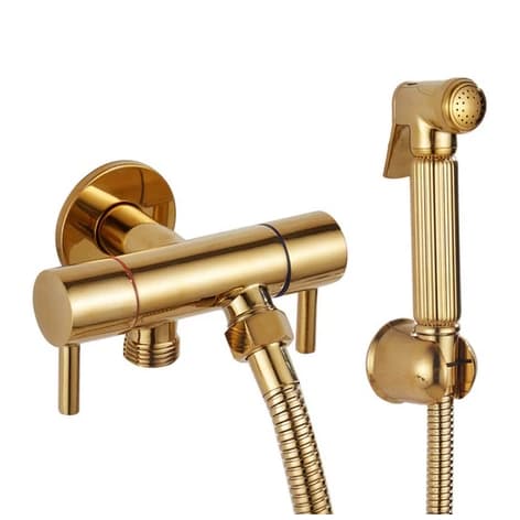 Ducha Higiênica DOURADA Com Registro Duplo Alta Pressão Moderno AÇO Inox