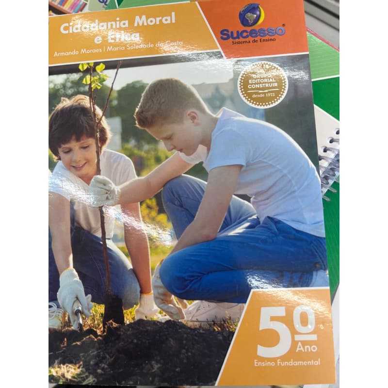 Livros Sucesso Construir complementos Atualizados.