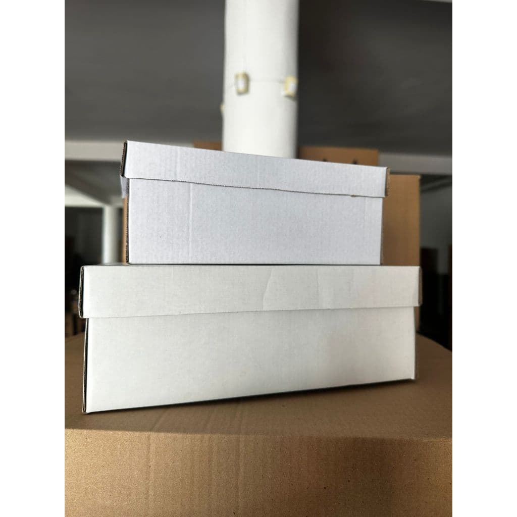 CAIXA DE SAPATO ORGANIZADOR CALÇADO ADULTO E INFANTIL