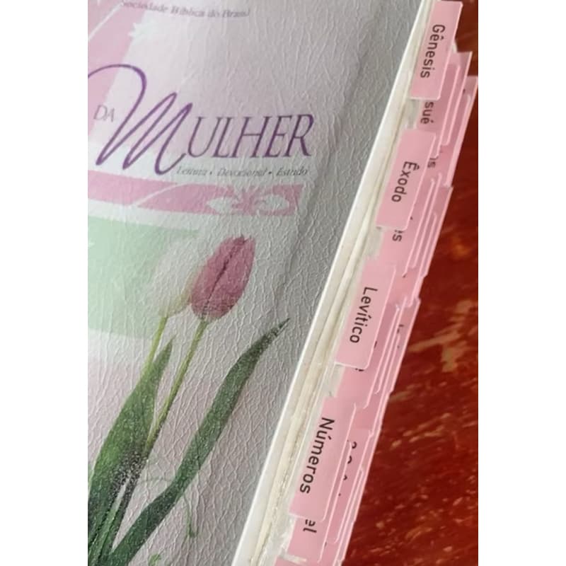 Abas divisórias adesivas para bíblia personalizada (Diversas cores).