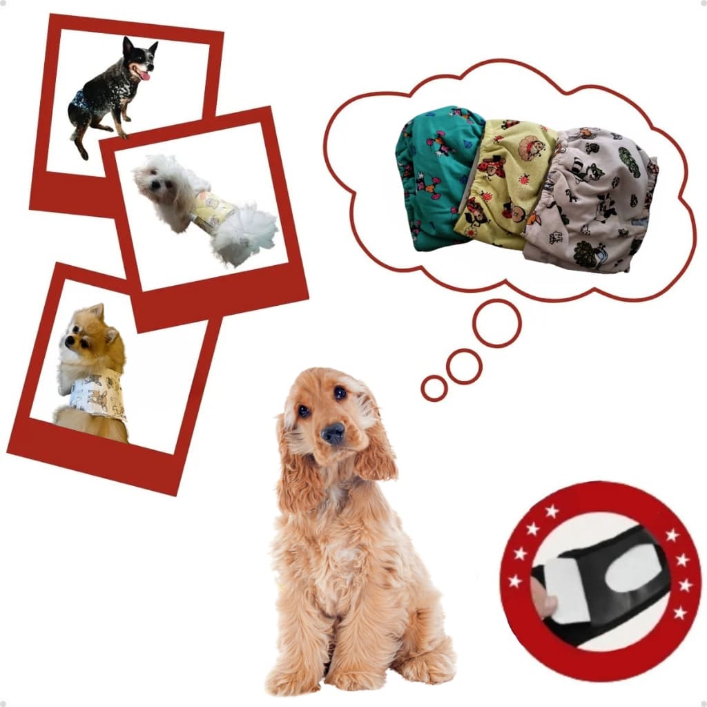 Fralda Lavável Para Cachorro Macho Cão Reutilizável Anti Xixi Pet Top