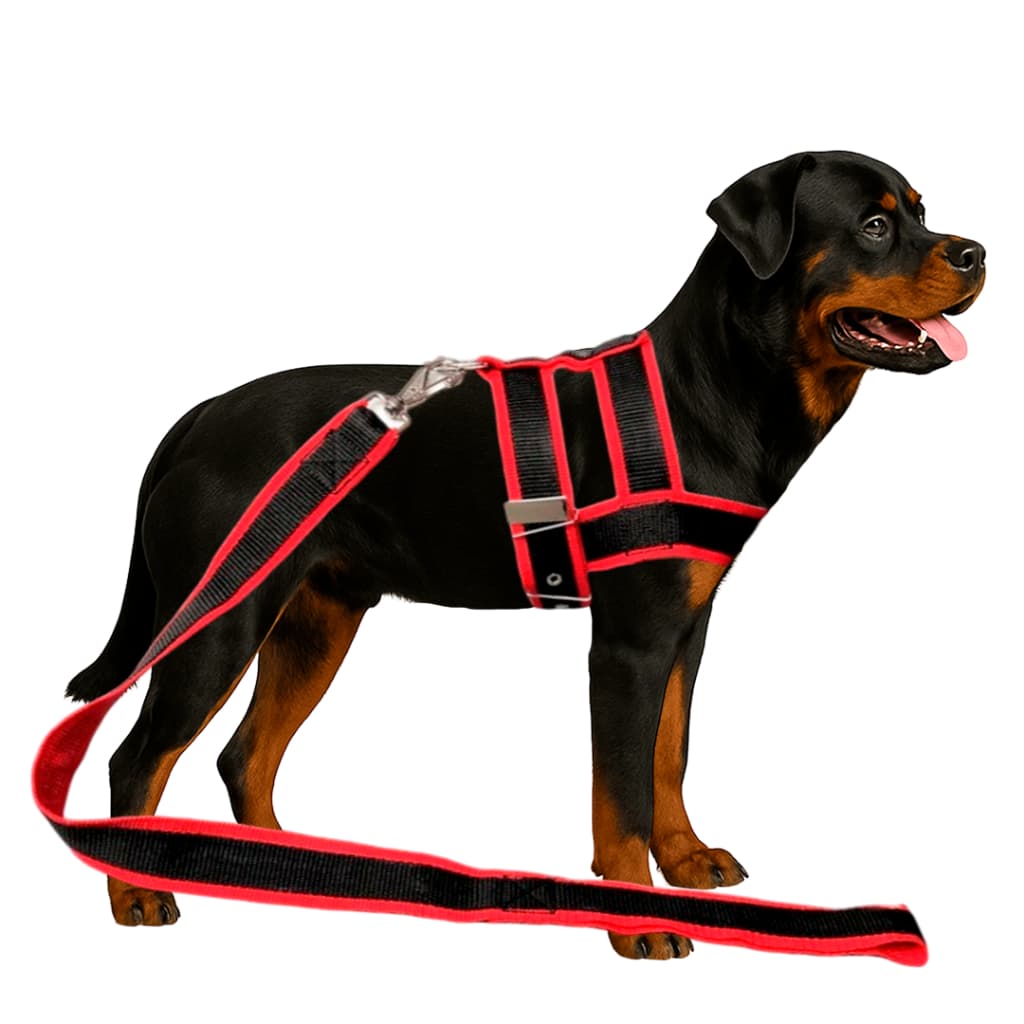 Conjunto Peitoral Com Guia De Nylon Duplo Especial Super Resistente Para Cachorro Cão Grande Porte