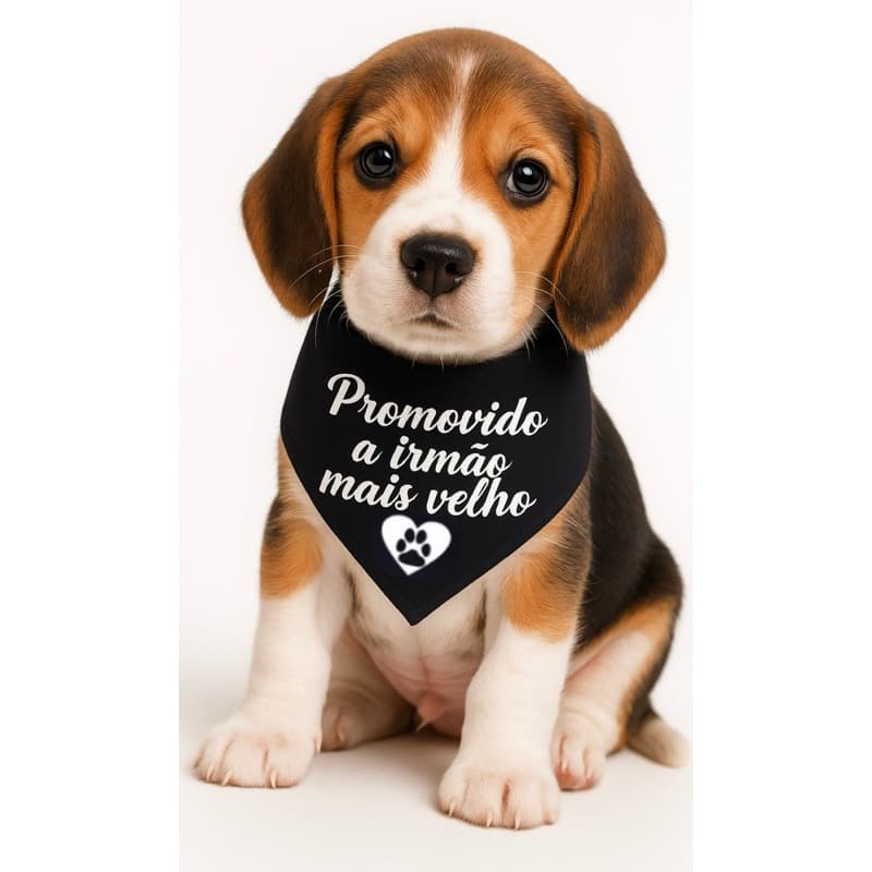 Bandana Pet Personalizada Promovido A Irmao Mais Velho Cor Preta Porte Grande Medio Pequeno Filho Adulto Cor Preta