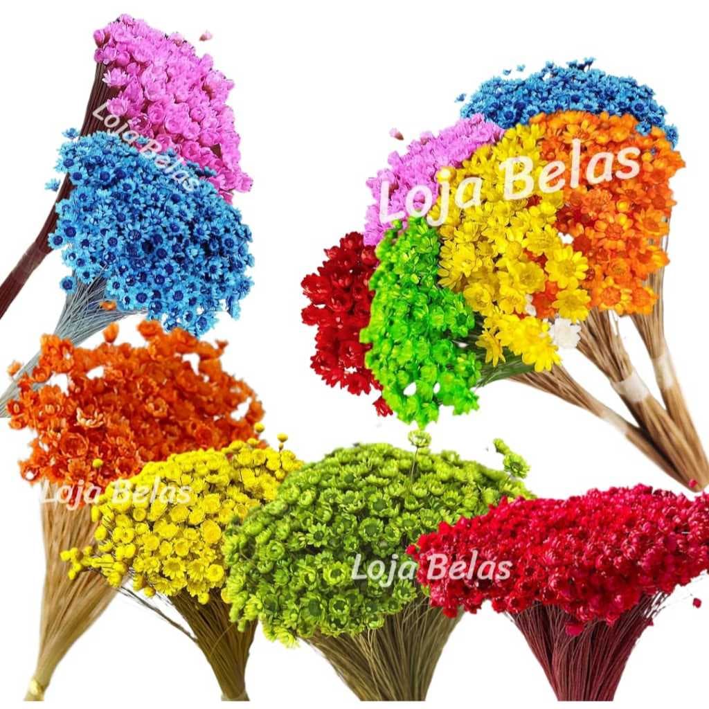 300 Flor Sempre Viva Mosquitinho Florzinha Buquê