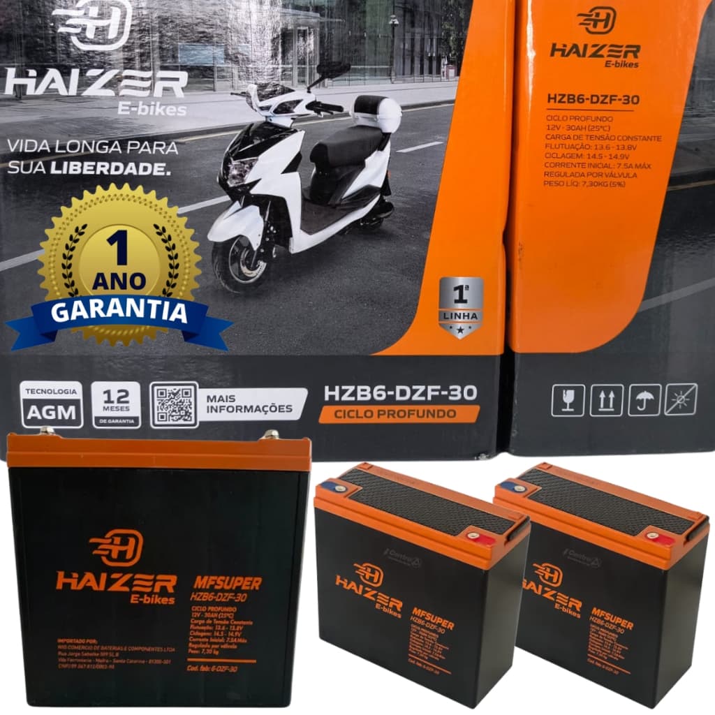 Kit 2 Bateria Cadeira De Rodas 12V 30ah 1 Ano Garantia Haizer Motorizada