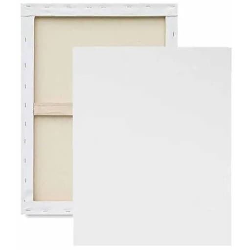 TELA DE PINTURA 18X24 KIT 3 UND