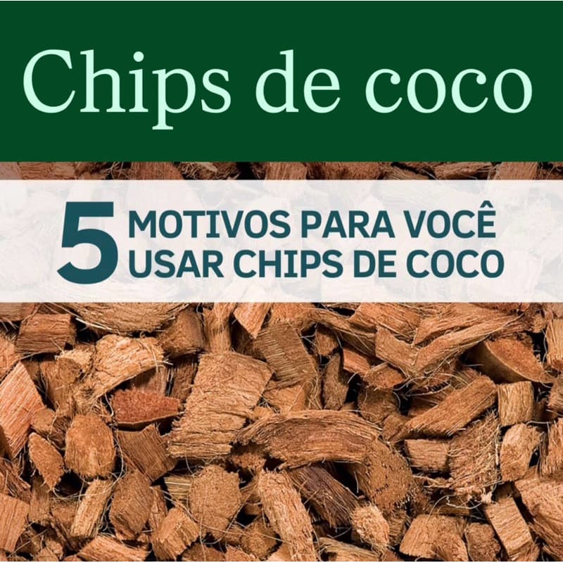Chip de Coco Orquídeas Flores Plantas Drenagem 1,5L ate 40 Litros