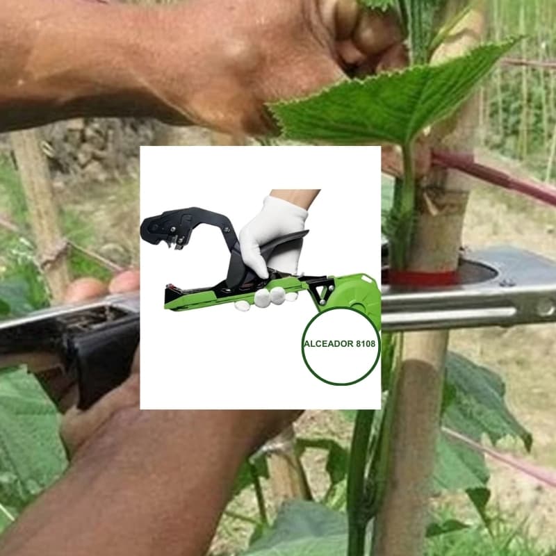 Alceador Grampeador Uva Tomate Ramos  PRONTA ENTREGA