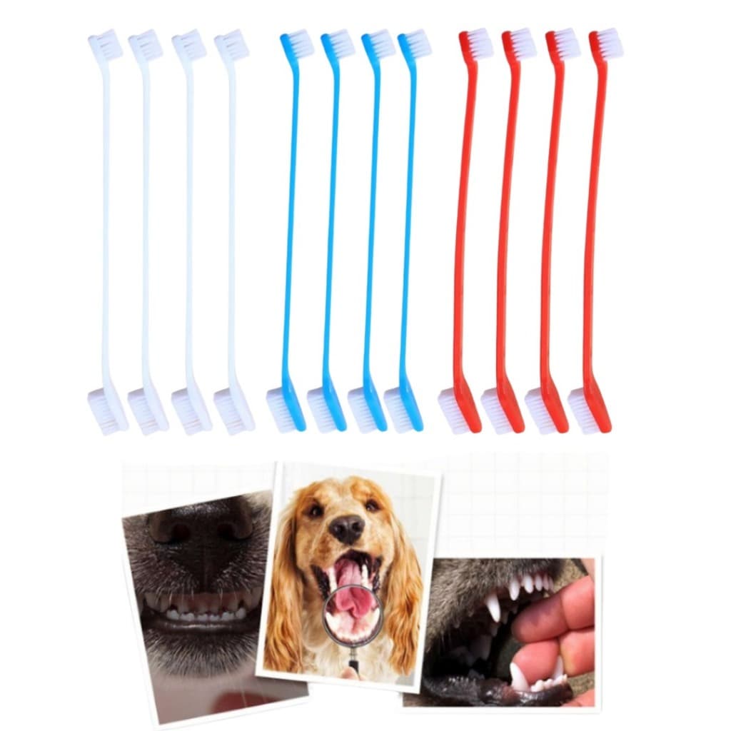 Kit Com 12 Escovas De Dente Dupla Cabo Longo Coloridas Cuidado Bucal Higiene Cachorro Gato Material Resistente LR-0148