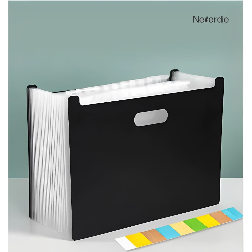 Pasta com 12 Divisórias Organizadora de Documentos Sanfonada Multiuso