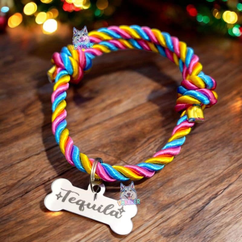 Colar Coleira Gato Cachorro Pequenos Filhotes com Plaquinha de Identificação Aço