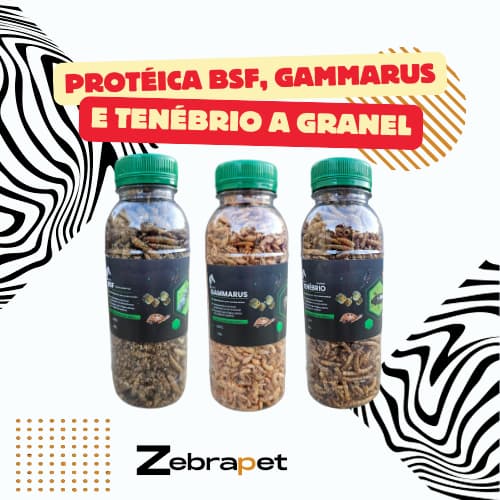 BSF, Gammarus, Artêmia Liofilizada e Tenébrio - Proteica a Granel - Ração p/ Animais