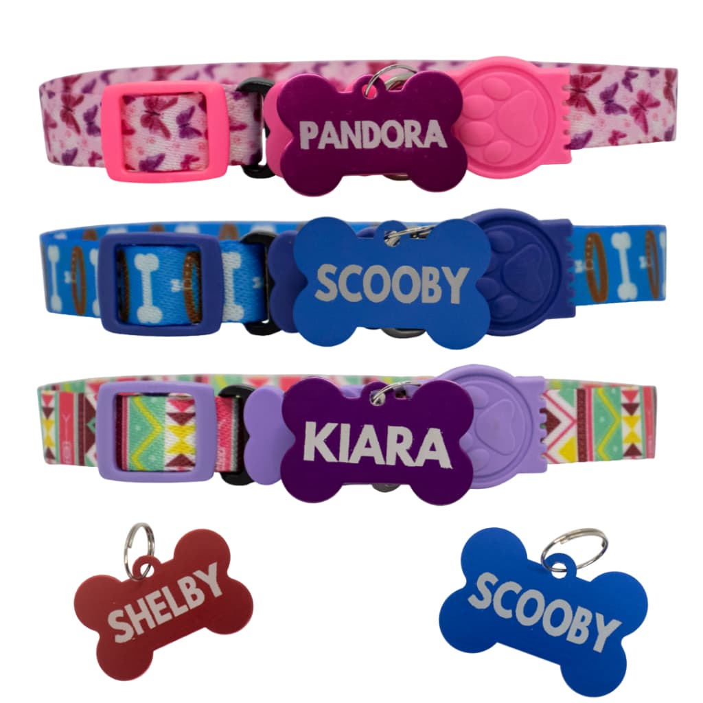 Coleira cachorro pequeno médio porte Com pingente de identificação personalizado