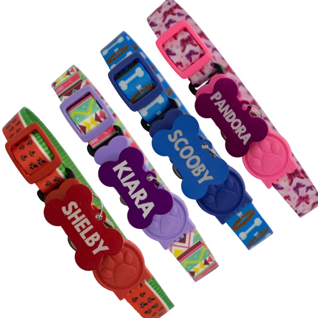 coleira personalizada com pingente cães e gatos ajustável Luxo