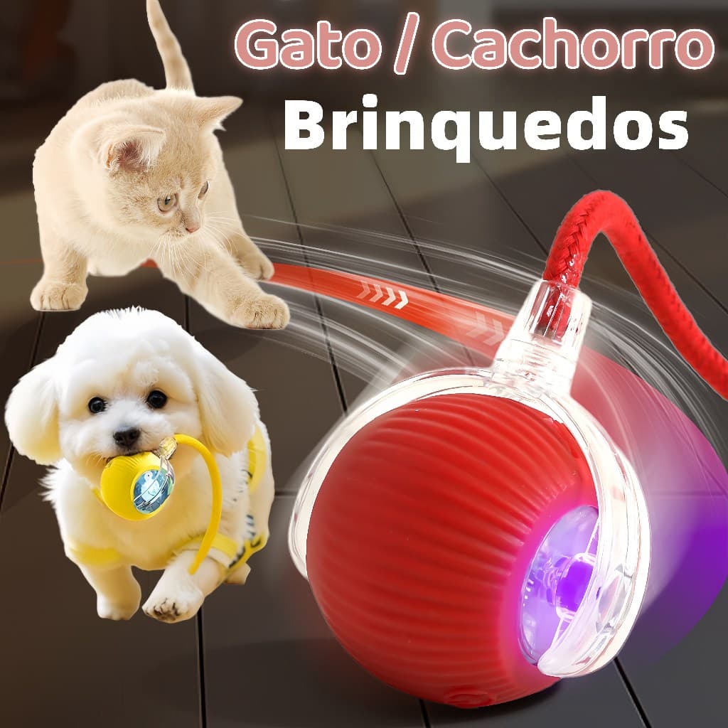 Bola de rolamento automática, brinquedo interativo para gatos, treinamento elétrico para cães